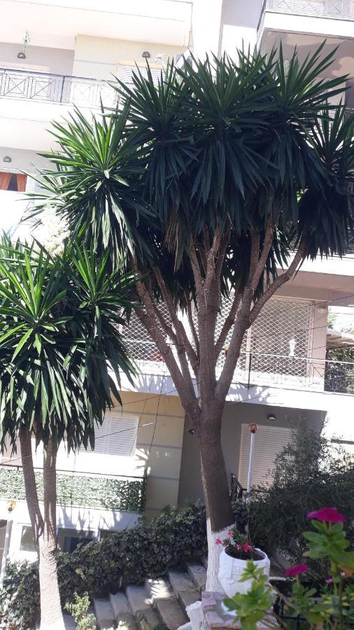 Apartamente Berti'S Garden Sarandë エクステリア 写真