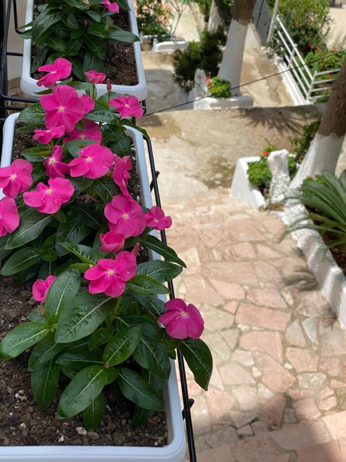 Apartamente Berti'S Garden Sarandë エクステリア 写真