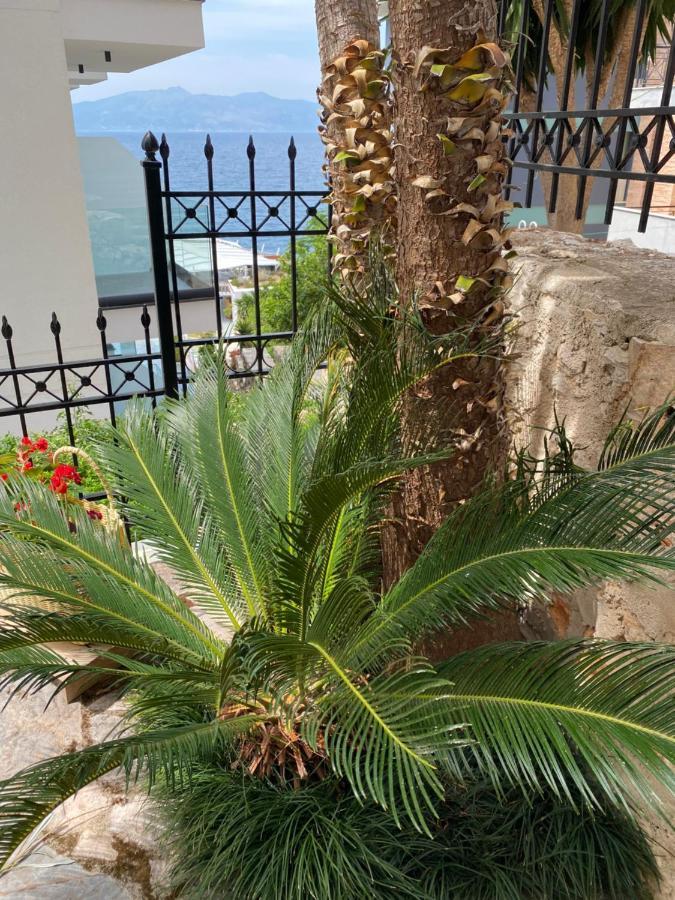 Apartamente Berti'S Garden Sarandë エクステリア 写真