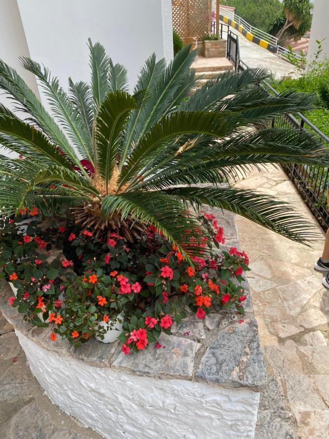 Apartamente Berti'S Garden Sarandë エクステリア 写真